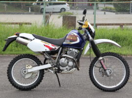 DR250R