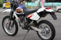 DR250R