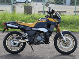 TDR250