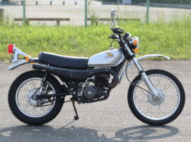 エルシノア250　逆輸入車