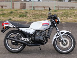 RZ250